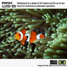 Pentax WG-8 webcam streams high-resolution video to your computer