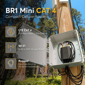 Peplink MAX BR1 Mini ports and WAN config for flexible network setup.