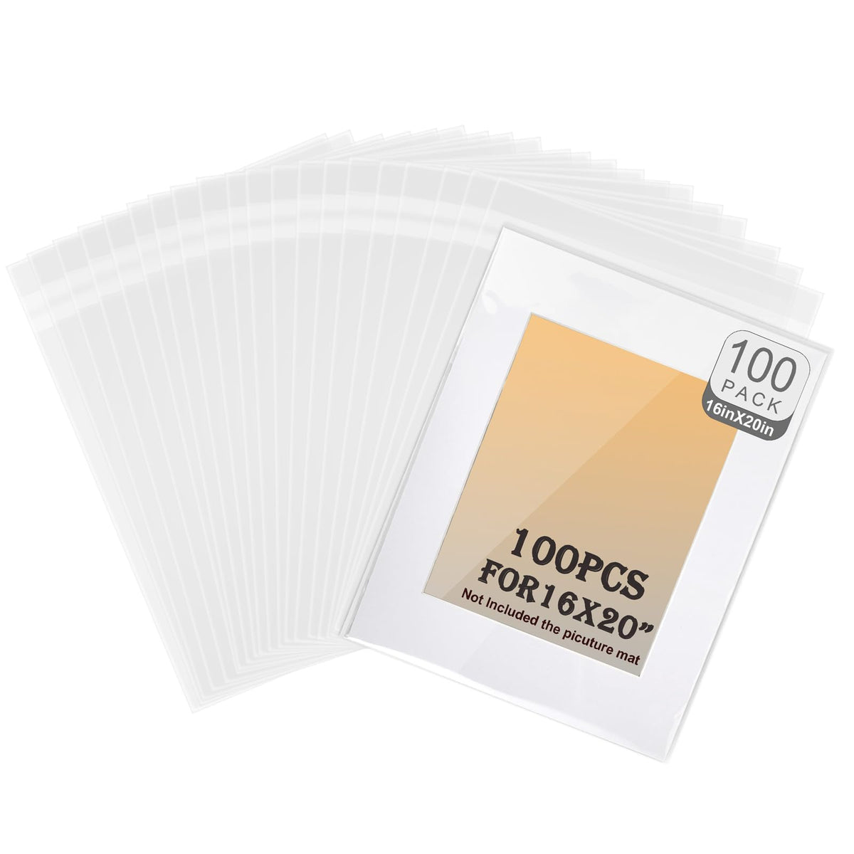 Phiocxem crystal bag for 16x20 prints shows a pristine display of artwork.