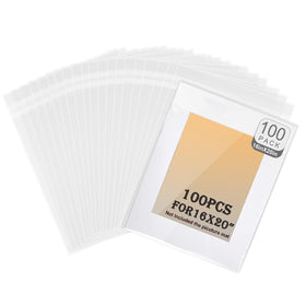 Phiocxem crystal bag for 16x20 prints shows a pristine display of artwork.