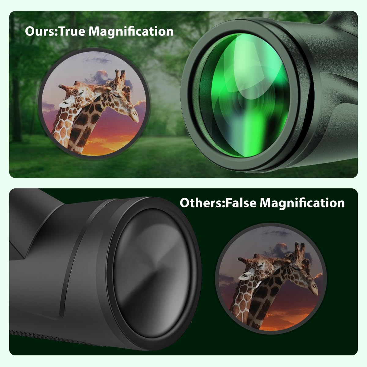 PhysioPhyx 80x100 BAK4 prism and FMC lens for bright, clear images