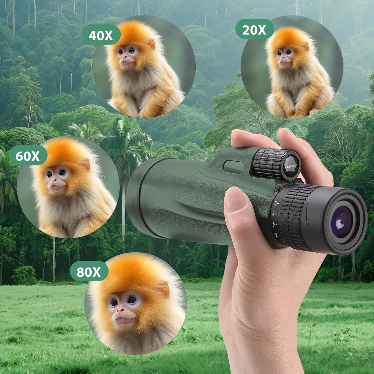 PhysioPhyx 80x100 monocular on tripod for steady long-range wildlife viewing