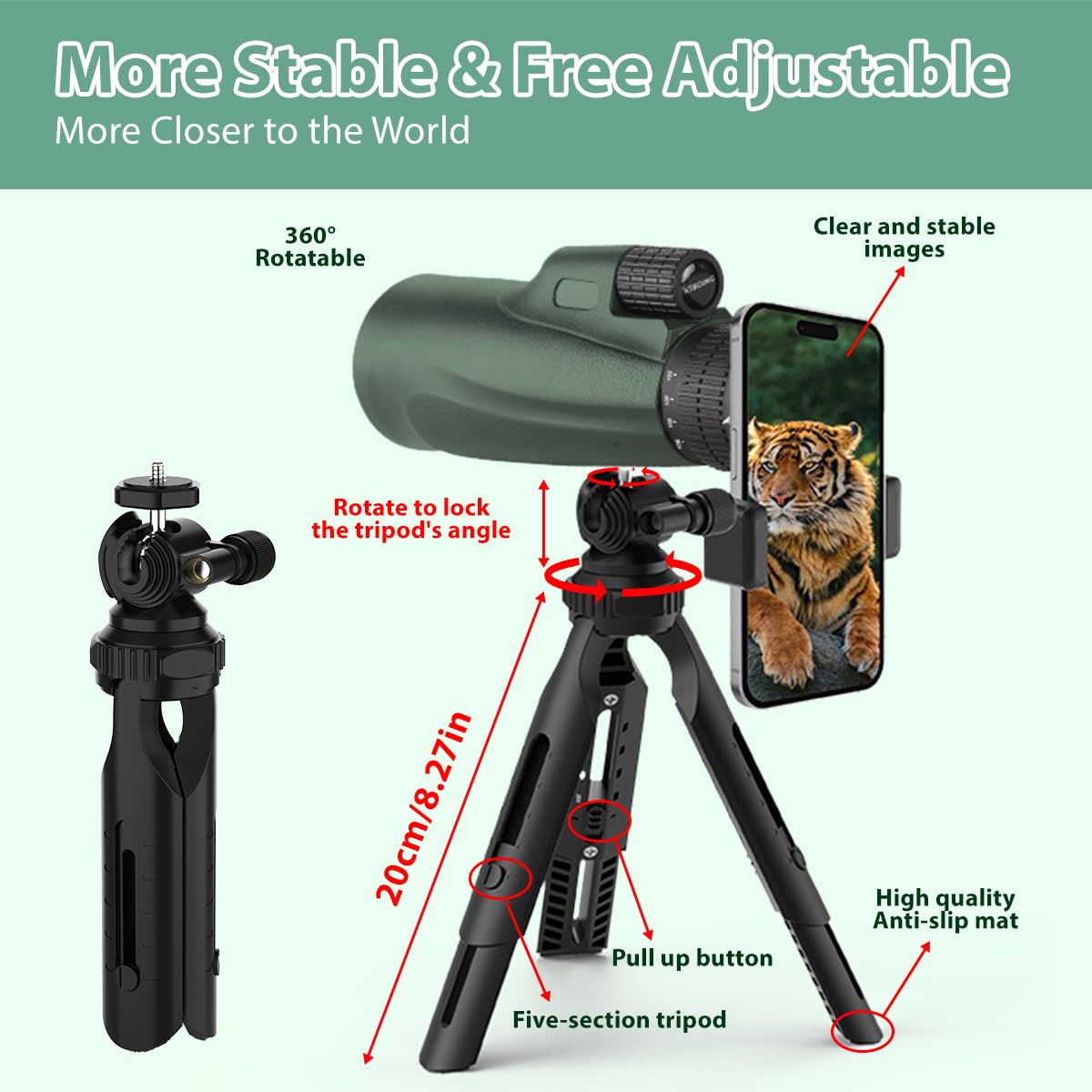 PhysioPhyx 80x100 wildlife-view in natural setting for hikers and nature lovers
