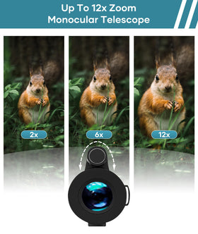 PhysioPhyx smartphone adapter mounted for easy digiscoping and steady photos