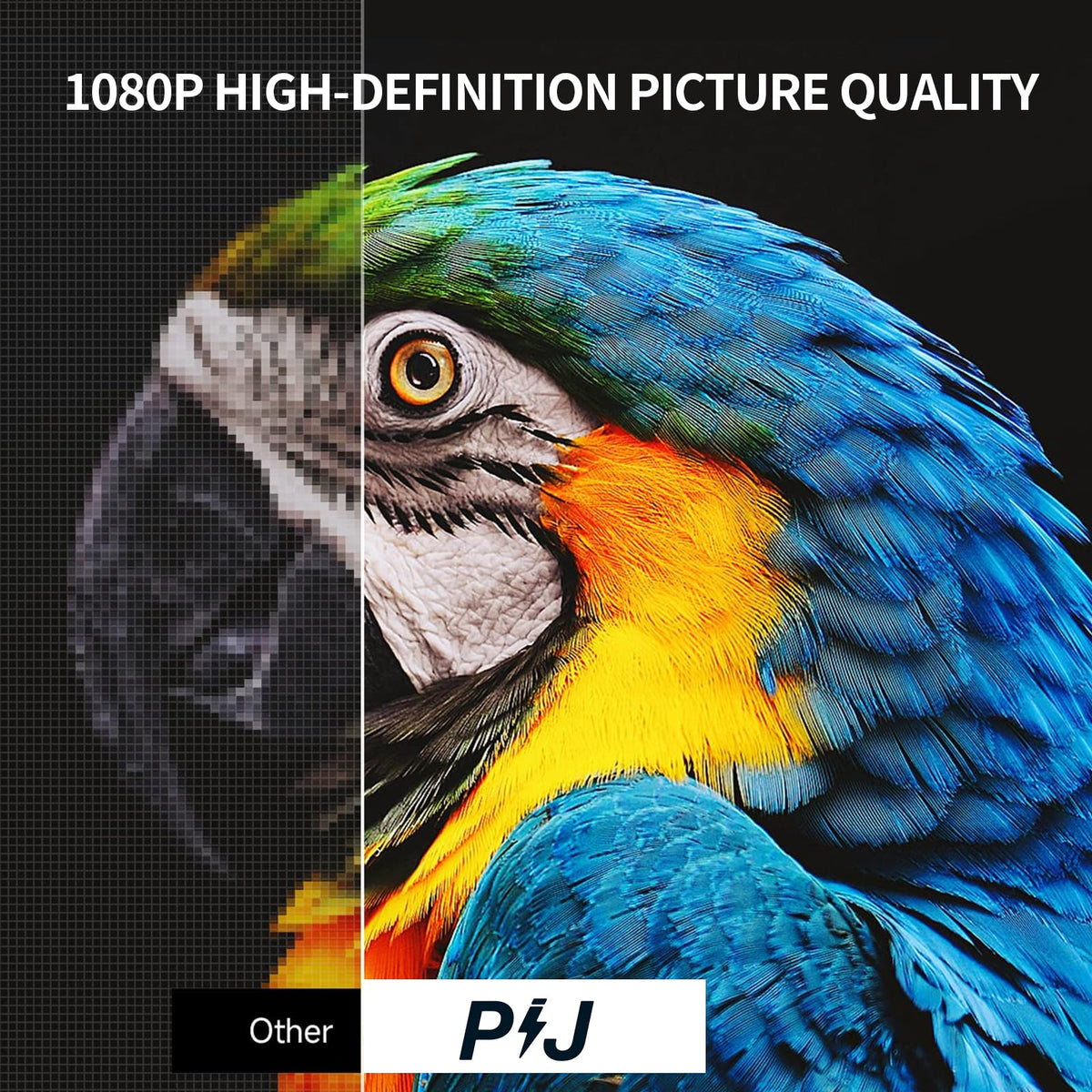 PIJ monitor HDMI ports support multiple HDMI devices