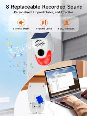 PILSAMAS USB voice upload port enables personalized alerts.