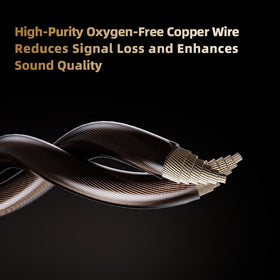 Piluyaa ENZO 11mm dynamic driver delivers lively highs with deep lows.