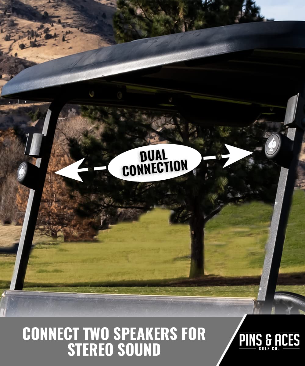 Two Pins & Aces Spade Speakers paired for stereo-like sound