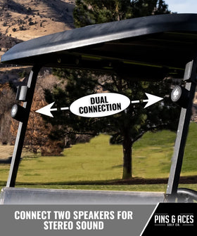 Two Pins & Aces Spade Speakers paired for stereo-like sound