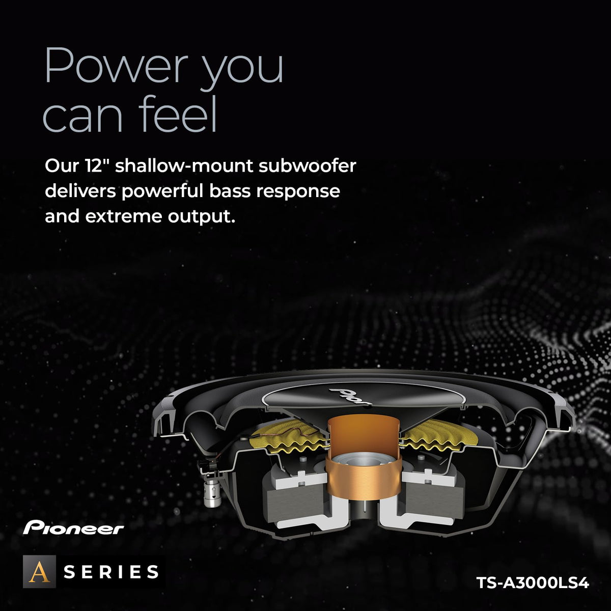 Pioneer TS-A3000LS4 cone detail reveals rigid glass-fiber reinforced IMPP construction.