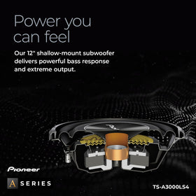 Pioneer TS-A3000LS4 cone detail reveals rigid glass-fiber reinforced IMPP construction.
