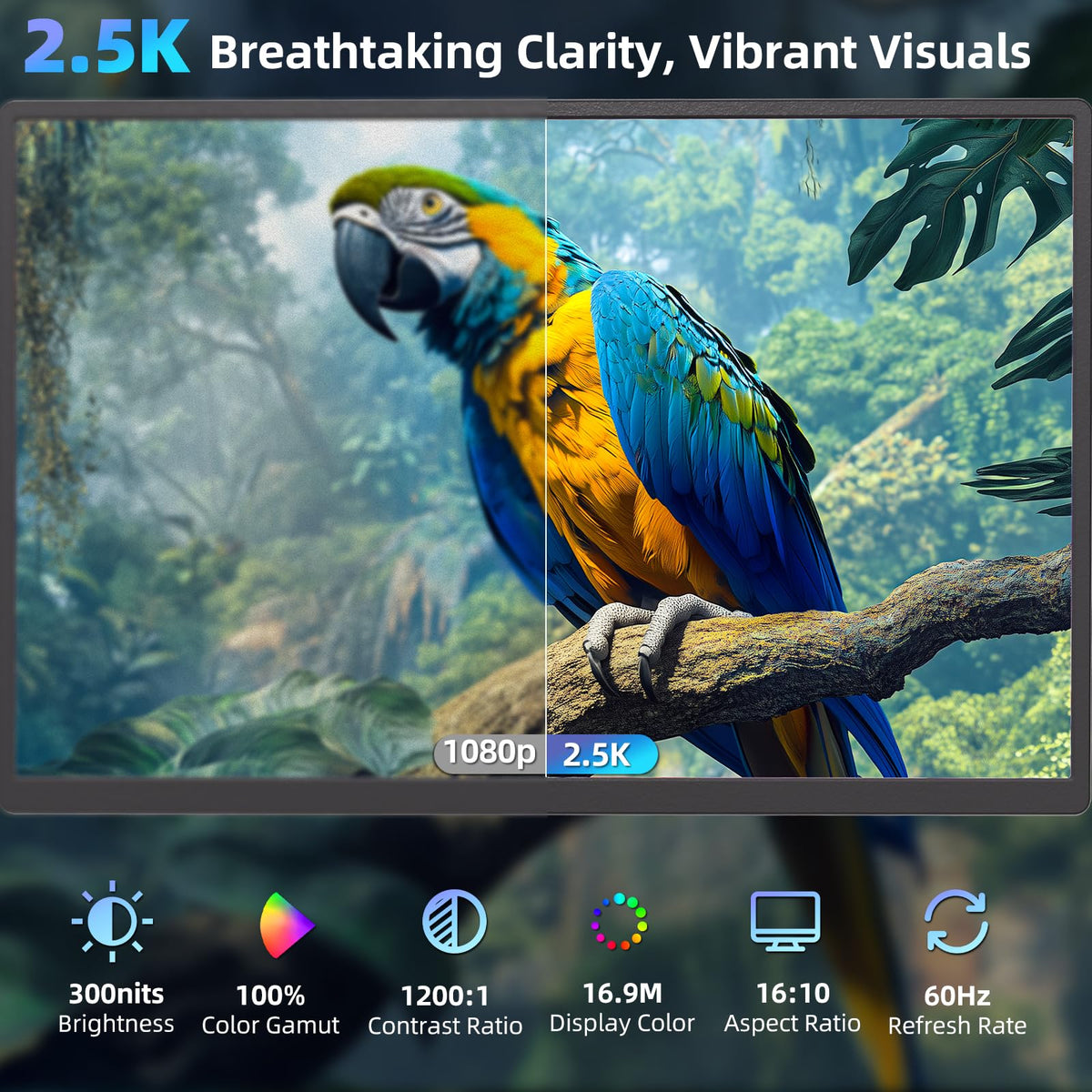Pitycbo 2.5K detail highlights crisp visuals for precise design work.