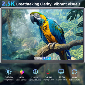 Pitycbo 2.5K-resolution display close-up showing crisp detail.