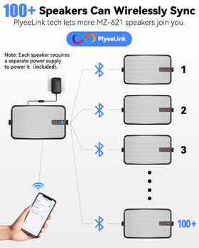 Plyee Audio driver and tweeter detail showing components that deliver clear sound