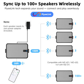 Plyee Audio MZ-658 wall-mount hardware included for easy installation