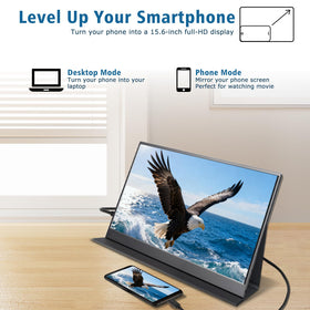 POCSARUE monitor in use with laptop for extra screen space.