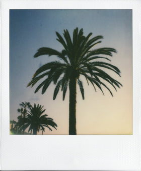 Polaroid 600 OneStep close-up of lens and exposure slider for quick creative control