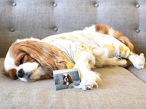 Polaroid ZINK paper is smudge-proof and durable.