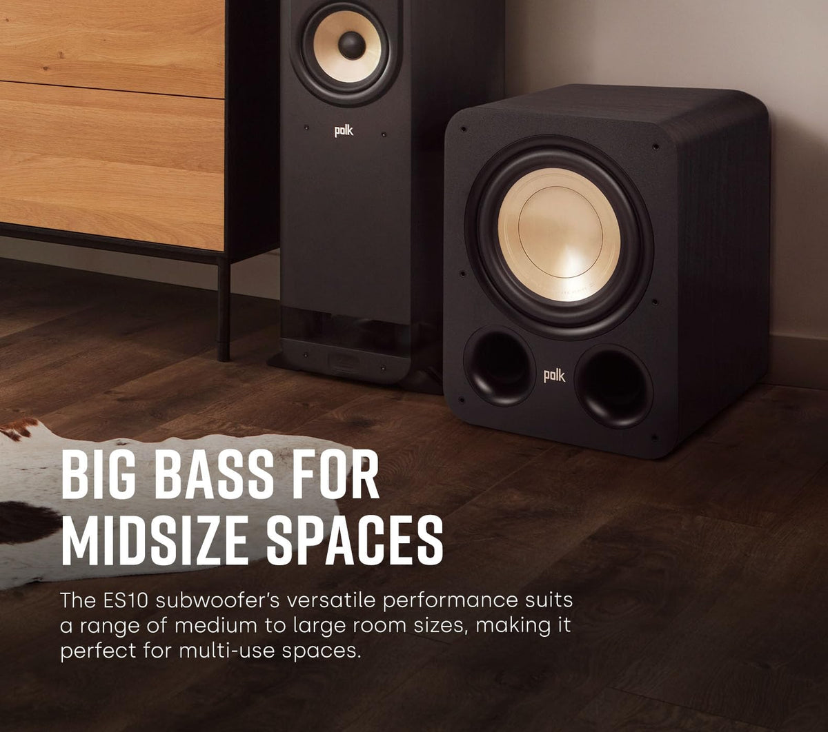 Polk Audio Signature Elite ES10 woofer cone close-up highlights a mineral-filled polymer cone.