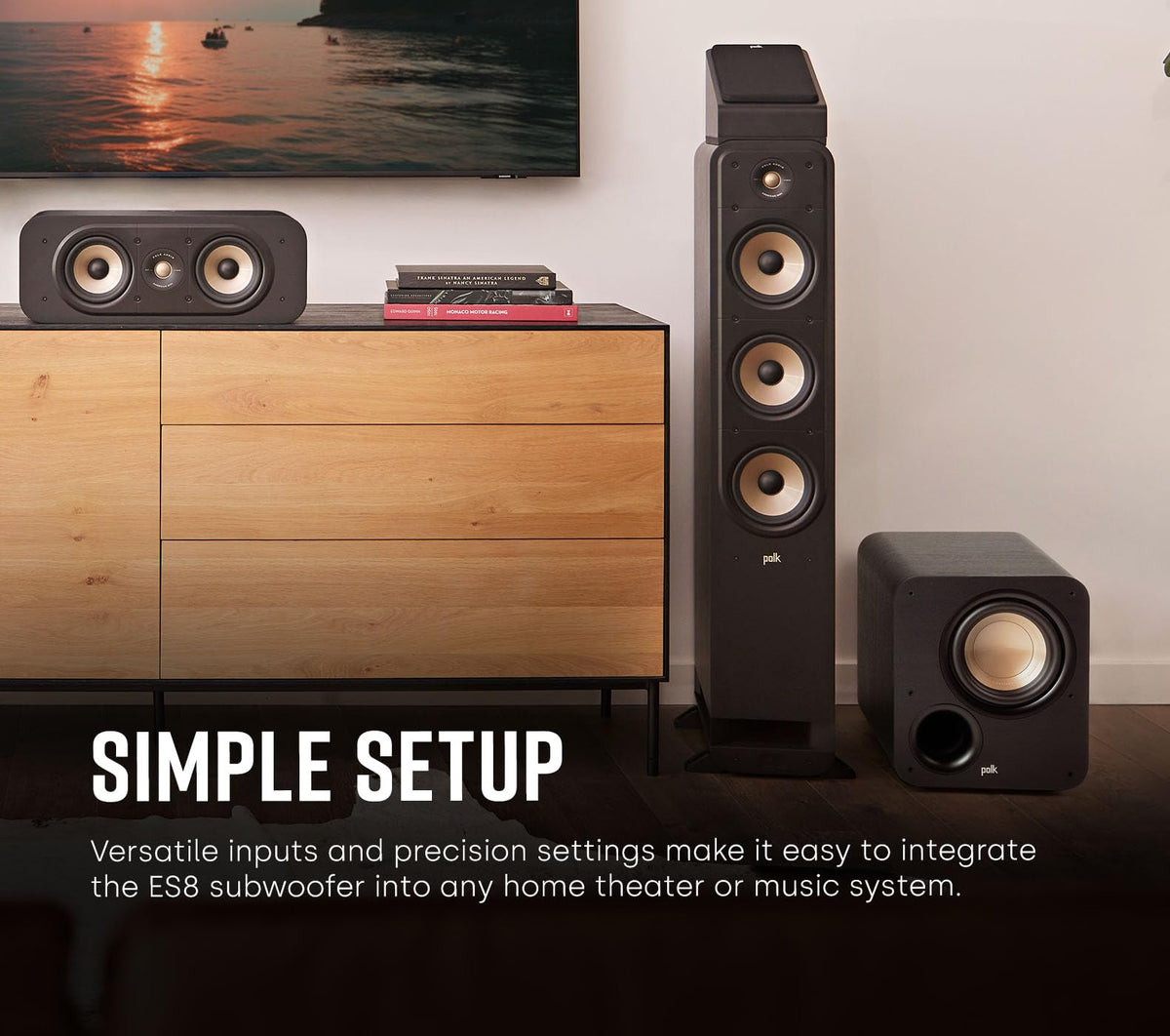 Polk ES8 rear-panel controls for easy integration with existing AV setups.