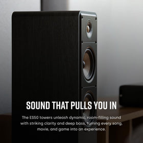 Polk Signature Elite ES50 dual 5.25-inch woofers provide rich bass response.