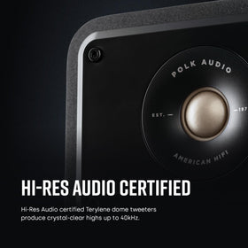 Polk Signature Elite ES60 tweeter close-up highlighting high-resolution highs.