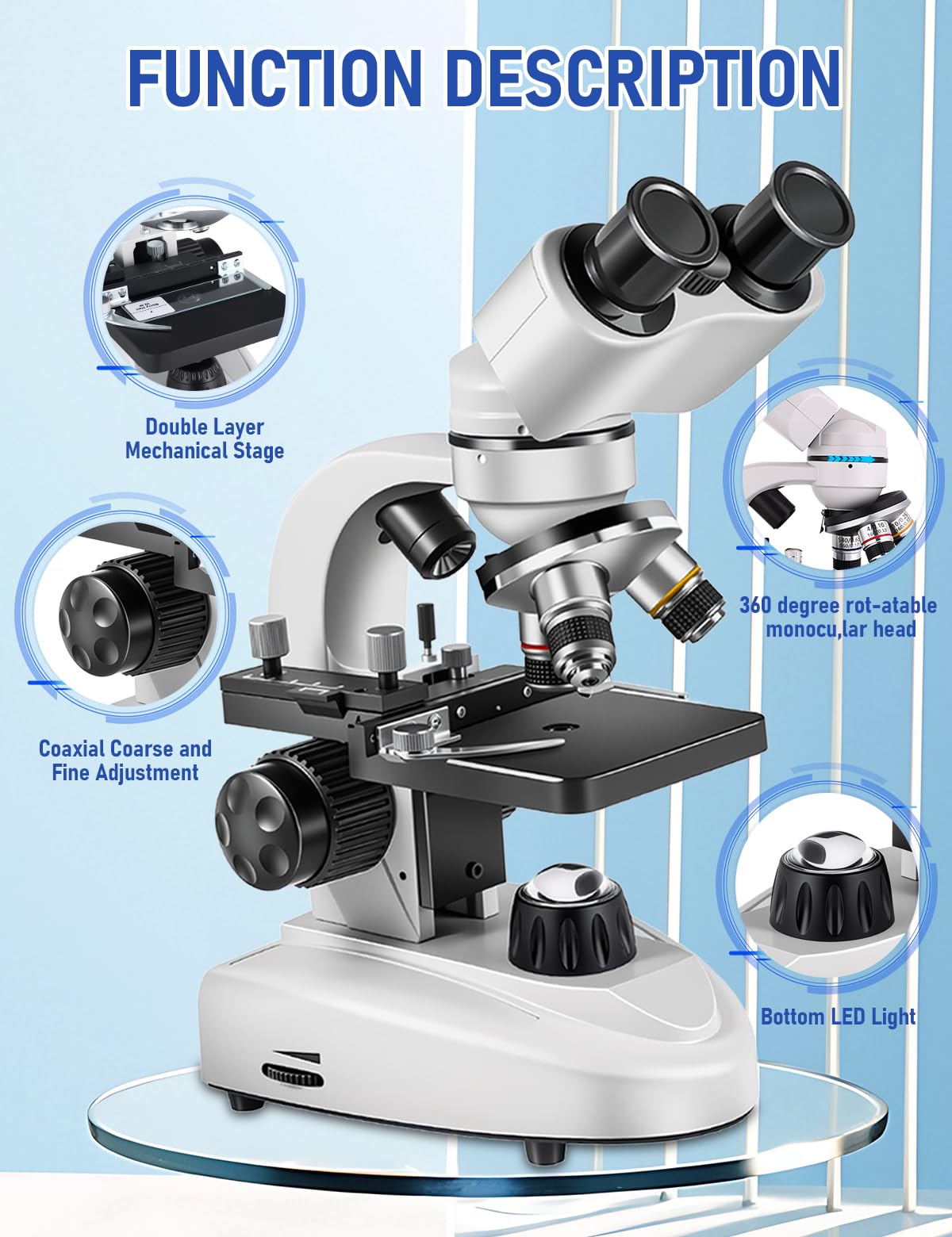 Poothoh built in electronic eyepieces enable easy digital capture