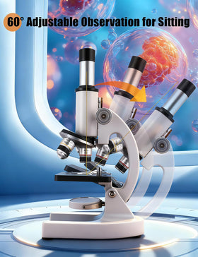 Poothoh slides set supports ready-to-observe specimens for focused practice.