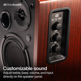 PreSonus Eris Accent back panel with analog inputs and USB-C for versatile connections.