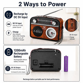 PRONLY compact-size radio great for travel and camping.