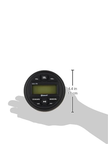 Prospec JBL-PRV175 connectivity ports showing USB input and RCA outputs for flexible audio setup.