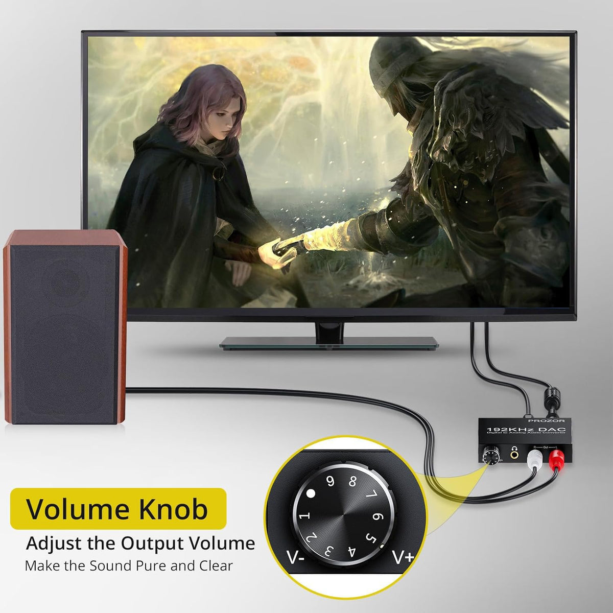 PROZOR DAC RCA L/R output for versatile speaker connections