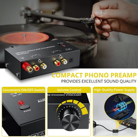 PROZOR phono preamplifier with gold-plated interfaces for reliable signal transfer.