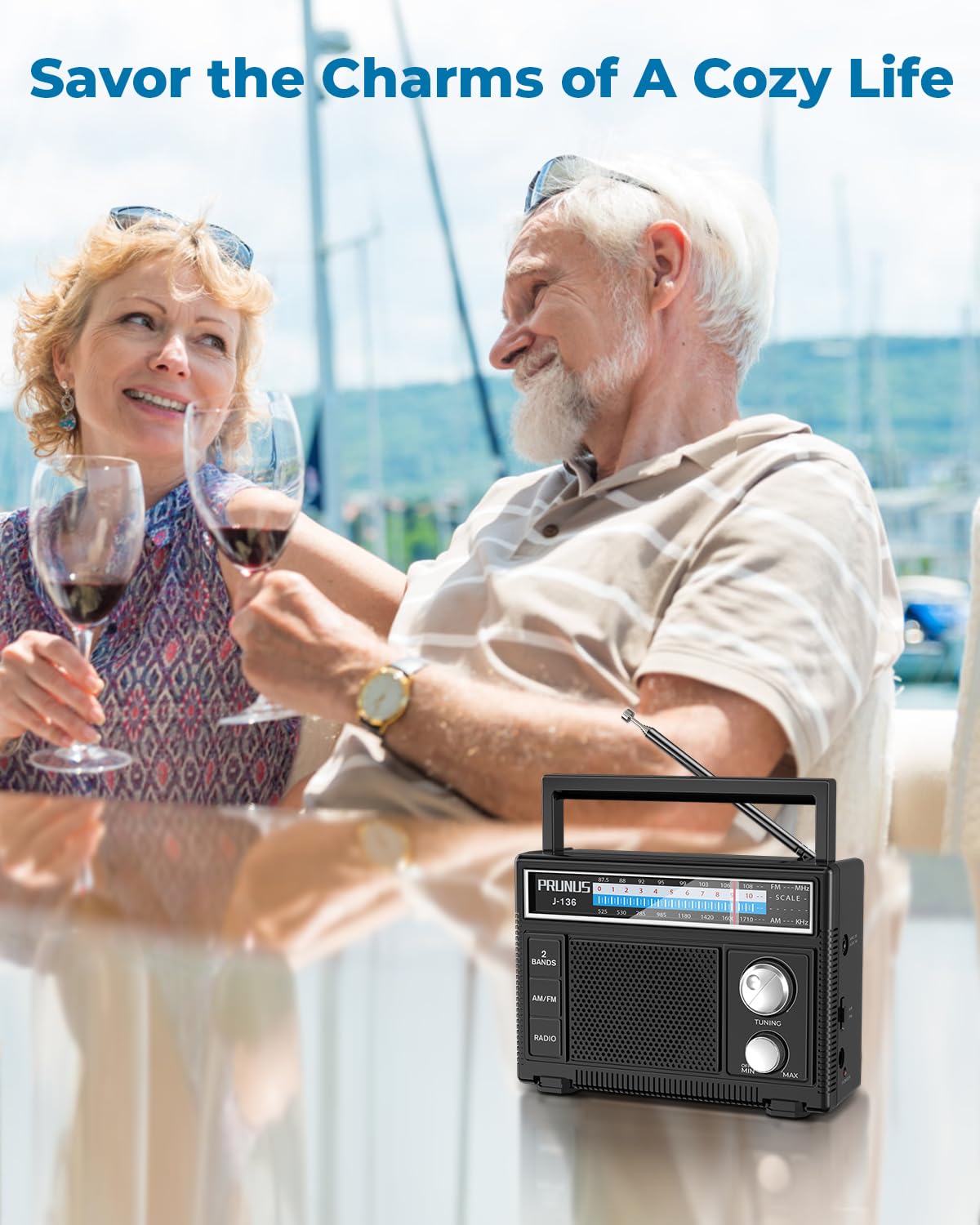 PRUNUS J-136 outdoor picnic scene with portable radio