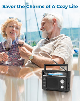 PRUNUS J-136 outdoor picnic scene with portable radio