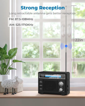 PRUNUS J-136 extended telescopic antenna improves reception