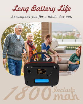 PRUNUS J-180 antenna-reception demonstrates strong AM/FM signal for clear listening