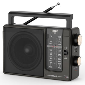 PRUNUS J03 radio with portable handle for easy outdoor listening.
