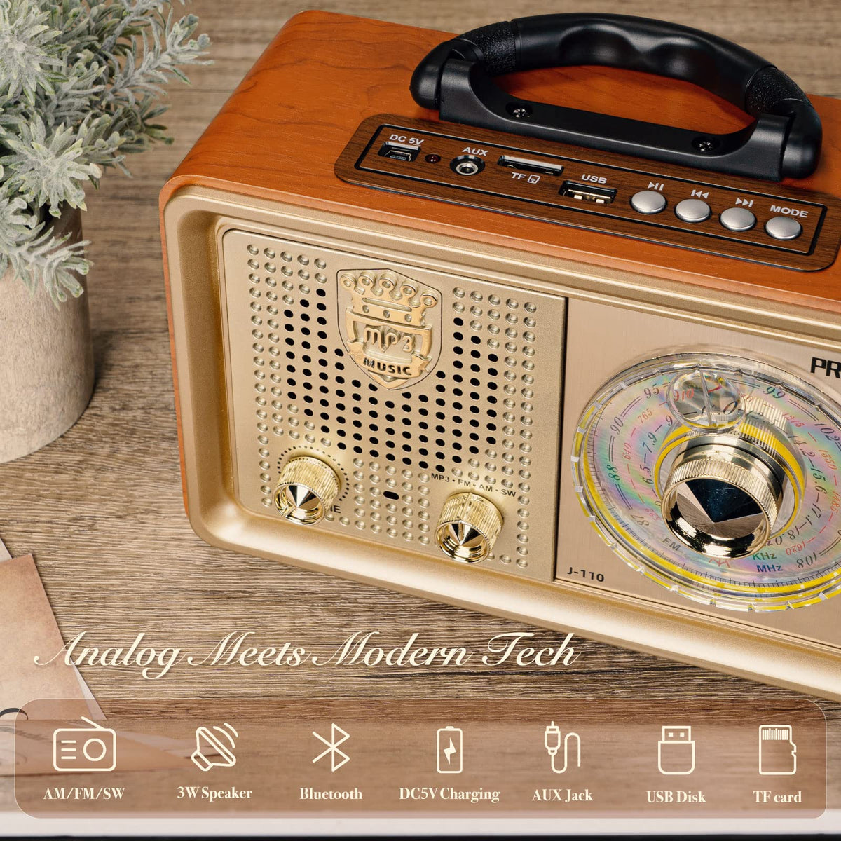 PRUNUS J-110 back panel ports showing USB TF AUX for versatile playback