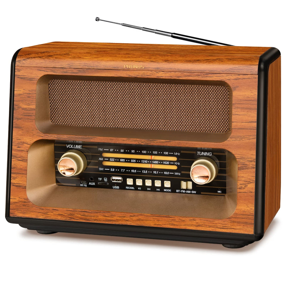 PRUNUS J-199 front view showing controls and speaker, highlighting vintage appeal and functionality