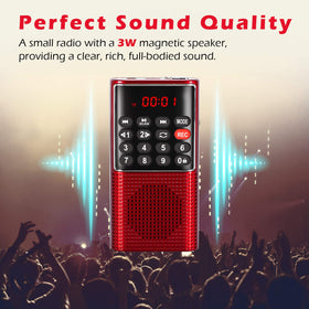 PRUNUS J-328 TF/MP3 recorder mode for saving favorites on the go.