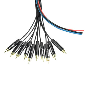 PRV AUDIO Snake 10RCA-50 connectors image highlights the 10 gold-plated channels and labeling.