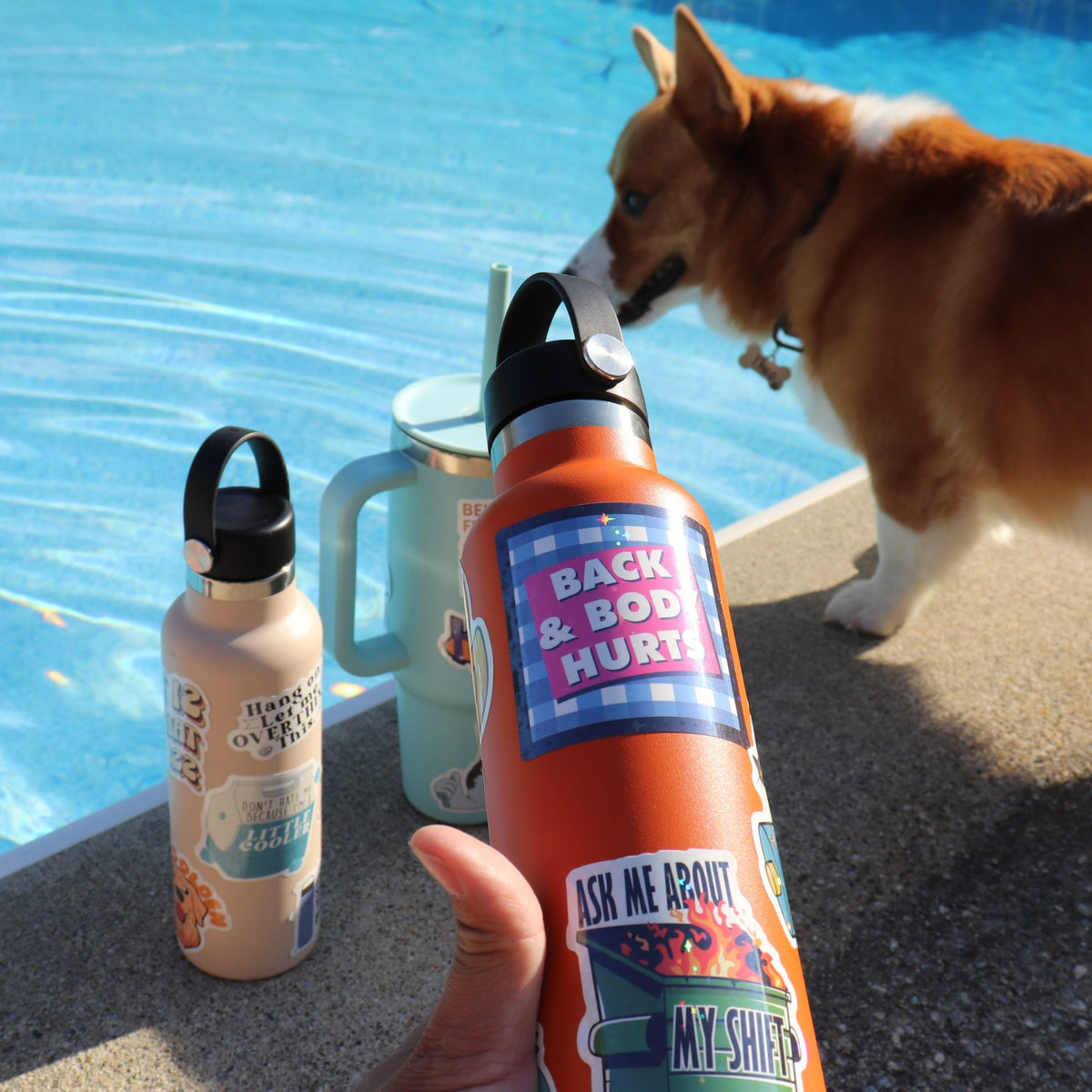 Puraesla water bottle stickers endure daily use and splashes.