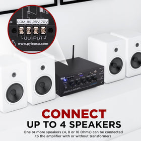 Pyle Compact Amplifier rear speaker terminals for multiple speaker setups