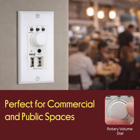 Pyle installed in living room demonstrating discreet integrated audio
