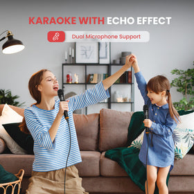 PD1000BA two microphone inputs with echo for karaoke and events