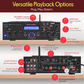 Pyle PDA9HBU two mic inputs ready for karaoke-style use and vocal mixing.