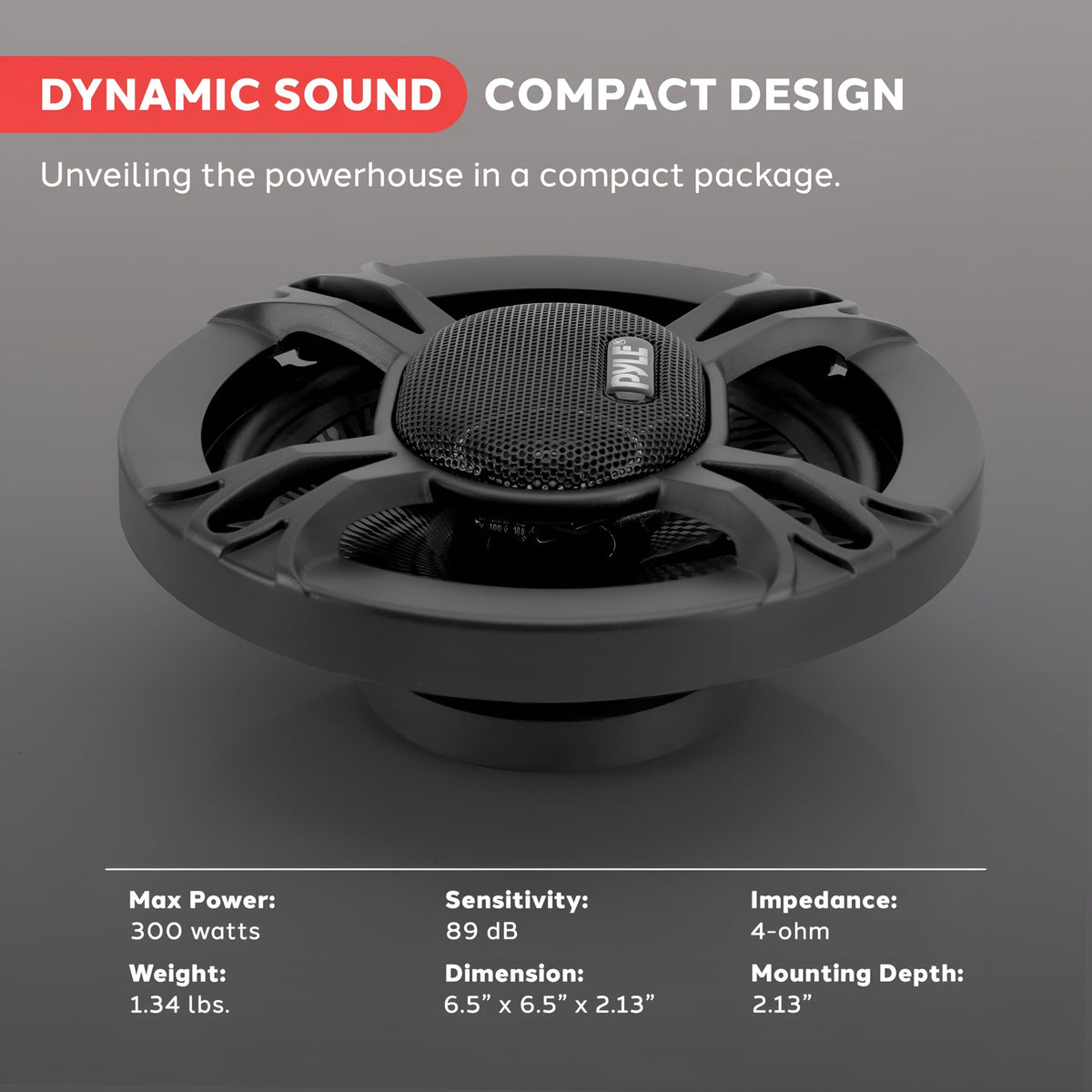 Pyle speaker next to ruler showing scale for correct fit and mounting compatibility