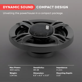 Pyle speaker next to ruler showing scale for correct fit and mounting compatibility