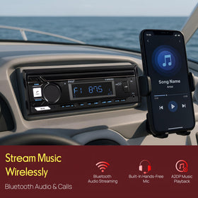 Pyle PLMRB29B USB SD and aux inputs close-up enabling direct MP3 playback